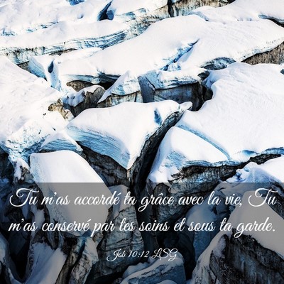 Picture 03 - Job 10:12 LSG - Tu m'as accordé ta grâce avec la vie, Tu m'as - Bible Verse Picture