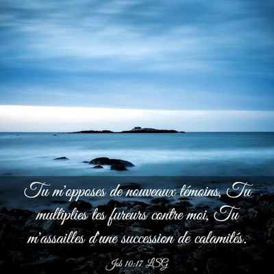 Picture 03 - Job 10:17 LSG - Tu m'opposes de nouveaux témoins, Tu multiplies - Bible Verse Picture