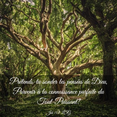 Picture 03 - Job 11:7 LSG - Prétends-tu sonder les pensées de Dieu, - Bible Verse Picture