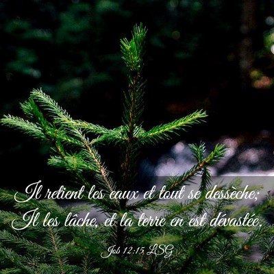 Picture 03 - Job 12:15 LSG - Il retient les eaux et tout se dessèche; Il les - Bible Verse Picture
