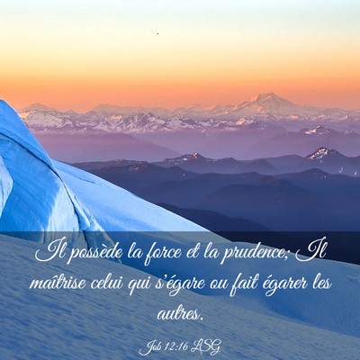 Picture 03 - Job 12:16 LSG - Il possède la force et la prudence; Il maîtrise - Bible Verse Picture