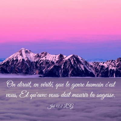 Picture 03 - Job 12:2 LSG - On dirait, en vérité, que le genre humain c'est - Bible Verse Picture