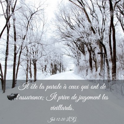 Picture 03 - Job 12:20 LSG - Il ôte la parole à ceux qui ont de l'assurance; - Bible Verse Picture