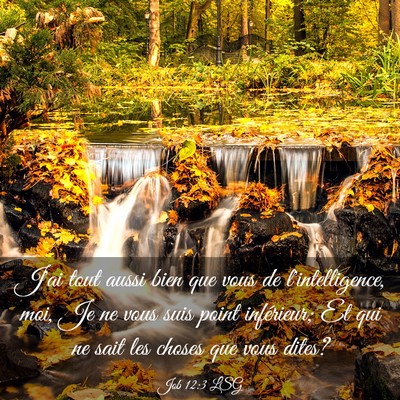 Picture 03 - Job 12:3 LSG - J'ai tout aussi bien que vous de l'intelligence, - Bible Verse Picture