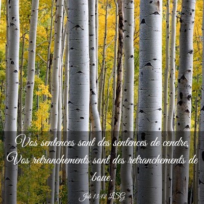 Picture 03 - Job 13:12 LSG - Vos sentences sont des sentences de cendre, Vos - Bible Verse Picture