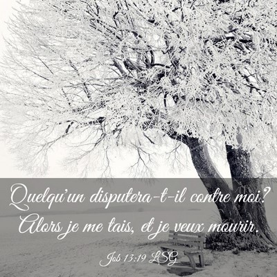 Picture 03 - Job 13:19 LSG - Quelqu'un disputera-t-il contre moi? Alors je me - Bible Verse Picture