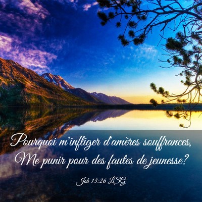 Picture 03 - Job 13:26 LSG - Pourquoi m'infliger d'amères souffrances, Me - Bible Verse Picture
