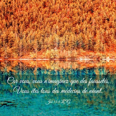 Picture 03 - Job 13:4 LSG - Car vous, vous n'imaginez que des faussetés, - Bible Verse Picture