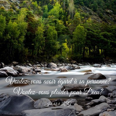 Picture 03 - Job 13:8 LSG - Voulez-vous avoir égard à sa personne? - Bible Verse Picture