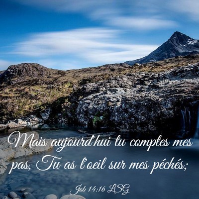 Picture 03 - Job 14:16 LSG - Mais aujourd'hui tu comptes mes pas, Tu as l'oeil - Bible Verse Picture