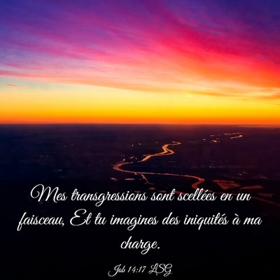 Picture 03 - Job 14:17 LSG - Mes transgressions sont scellées en un faisceau, - Bible Verse Picture