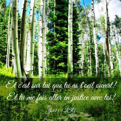 Picture 03 - Job 14:3 LSG - Et c'est sur lui que tu as l'oeil ouvert! Et tu - Bible Verse Picture