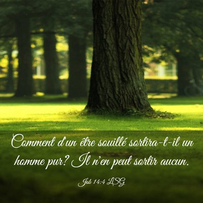 Picture 03 - Job 14:4 LSG - Comment d'un être souillé sortira-t-il un homme - Bible Verse Picture