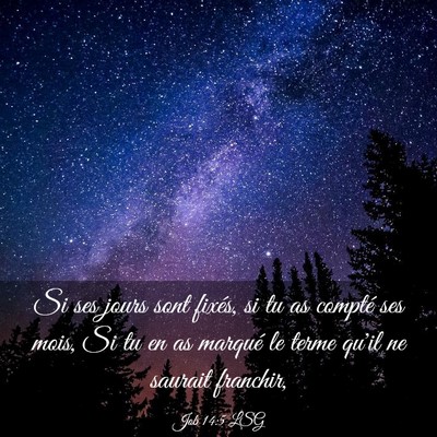 Picture 03 - Job 14:5 LSG - Si ses jours sont fixés, si tu as compté ses - Bible Verse Picture