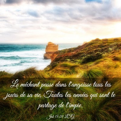 Picture 03 - Job 15:20 LSG - Le méchant passe dans l'angoisse tous les jours - Bible Verse Picture