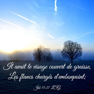 Picture 03 - Job 15:27 LSG - Il avait le visage couvert de graisse, Les flancs - Bible Verse Picture