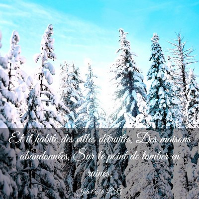 Picture 03 - Job 15:28 LSG - Et il habite des villes détruites, Des maisons - Bible Verse Picture