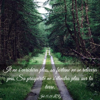 Picture 03 - Job 15:29 LSG - Il ne s'enrichira plus, sa fortune ne se - Bible Verse Picture