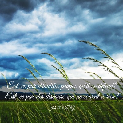 Picture 03 - Job 15:3 LSG - Est-ce par d'inutiles propos qu'il se défend? - Bible Verse Picture