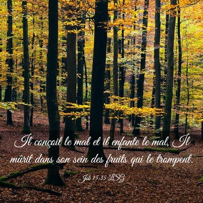 Picture 03 - Job 15:35 LSG - Il conçoit le mal et il enfante le mal, Il - Bible Verse Picture