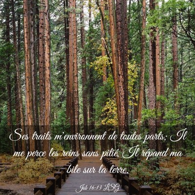 Picture 03 - Job 16:13 LSG - Ses traits m'environnent de toutes parts; Il me - Bible Verse Picture