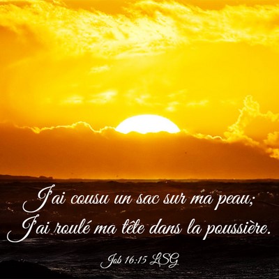 Picture 03 - Job 16:15 LSG - J'ai cousu un sac sur ma peau; J'ai roulé ma - Bible Verse Picture