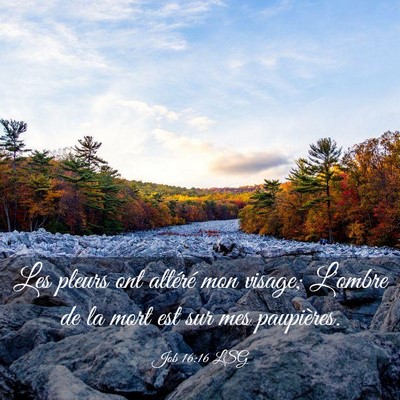 Picture 03 - Job 16:16 LSG - Les pleurs ont altéré mon visage; L'ombre de la - Bible Verse Picture