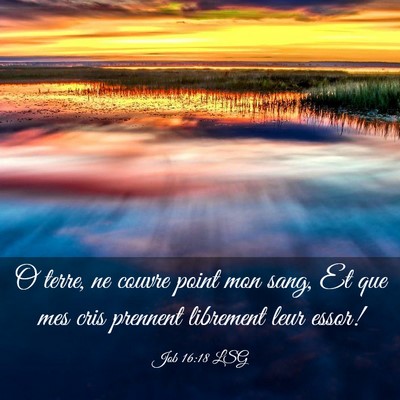 Picture 03 - Job 16:18 LSG - O terre, ne couvre point mon sang, Et que mes - Bible Verse Picture