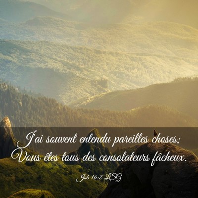 Picture 03 - Job 16:2 LSG - J'ai souvent entendu pareilles choses; Vous êtes - Bible Verse Picture