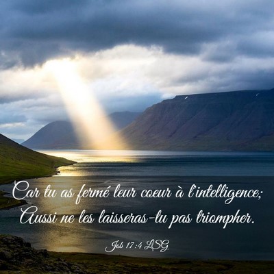 Picture 03 - Job 17:4 LSG - Car tu as fermé leur coeur à l'intelligence; - Bible Verse Picture