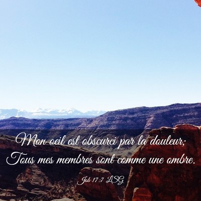 Picture 03 - Job 17:7 LSG - Mon oeil est obscurci par la douleur; Tous mes - Bible Verse Picture