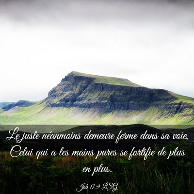 Picture 03 - Job 17:9 LSG - Le juste néanmoins demeure ferme dans sa voie, - Bible Verse Picture