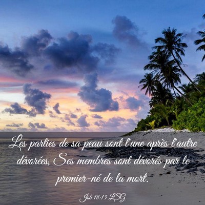 Picture 03 - Job 18:13 LSG - Les parties de sa peau sont l'une après l'autre - Bible Verse Picture