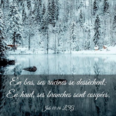 Picture 03 - Job 18:16 LSG - En bas, ses racines se dessèchent; En haut, ses - Bible Verse Picture