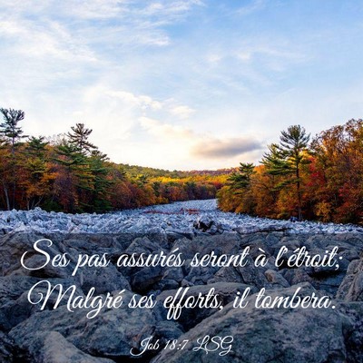 Picture 03 - Job 18:7 LSG - Ses pas assurés seront à l'étroit; Malgré ses - Bible Verse Picture