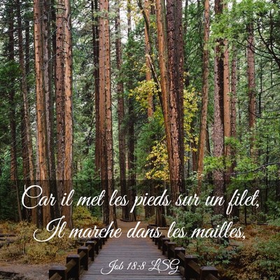 Picture 03 - Job 18:8 LSG - Car il met les pieds sur un filet, Il marche dans - Bible Verse Picture