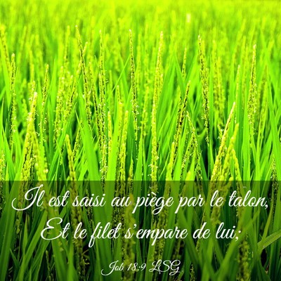 Picture 03 - Job 18:9 LSG - Il est saisi au piège par le talon, Et le filet - Bible Verse Picture