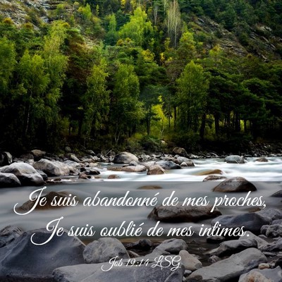 Picture 03 - Job 19:14 LSG - Je suis abandonné de mes proches, Je suis - Bible Verse Picture