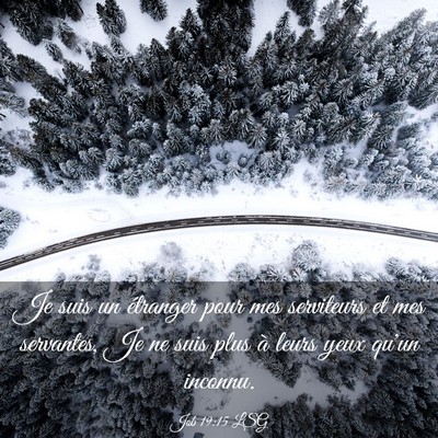 Picture 03 - Job 19:15 LSG - Je suis un étranger pour mes serviteurs et mes - Bible Verse Picture