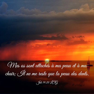 Picture 03 - Job 19:20 LSG - Mes os sont attachés à ma peau et à ma chair; - Bible Verse Picture