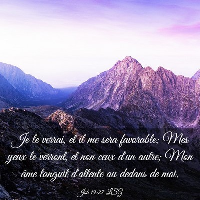 Picture 03 - Job 19:27 LSG - Je le verrai, et il me sera favorable; Mes yeux - Bible Verse Picture