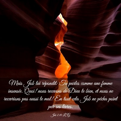 Picture 03 - Job 2:10 LSG - Mais Job lui répondit: Tu parles comme une femme - Bible Verse Picture