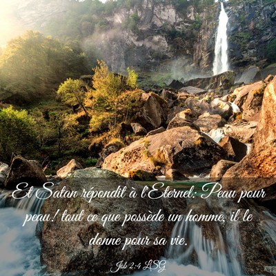 Picture 03 - Job 2:4 LSG - Et Satan répondit à l'Eternel: Peau pour peau! - Bible Verse Picture