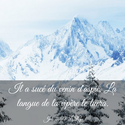 Picture 03 - Job 20:16 LSG - Il a sucé du venin d'aspic, La langue de la - Bible Verse Picture