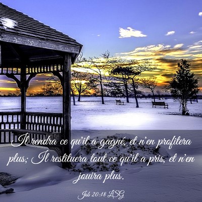 Picture 03 - Job 20:18 LSG - Il rendra ce qu'il a gagné, et n'en profitera - Bible Verse Picture
