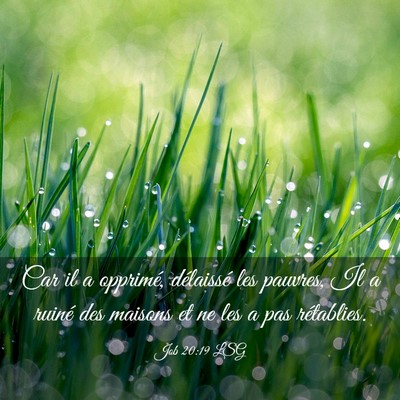 Picture 03 - Job 20:19 LSG - Car il a opprimé, délaissé les pauvres, Il a - Bible Verse Picture