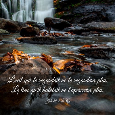 Picture 03 - Job 20:9 LSG - L'oeil qui le regardait ne le regardera plus, Le - Bible Verse Picture