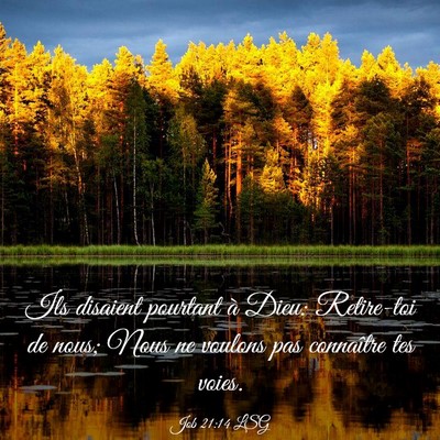 Picture 03 - Job 21:14 LSG - Ils disaient pourtant à Dieu: Retire-toi de - Bible Verse Picture