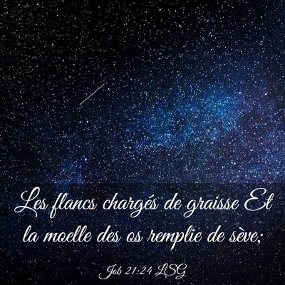 Picture 03 - Job 21:24 LSG - Les flancs chargés de graisse Et la moelle des - Bible Verse Picture