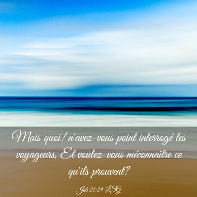 Picture 03 - Job 21:29 LSG - Mais quoi! n'avez-vous point interrogé les - Bible Verse Picture